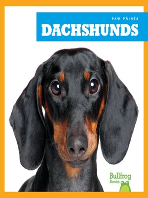 cover image of Dachshunds